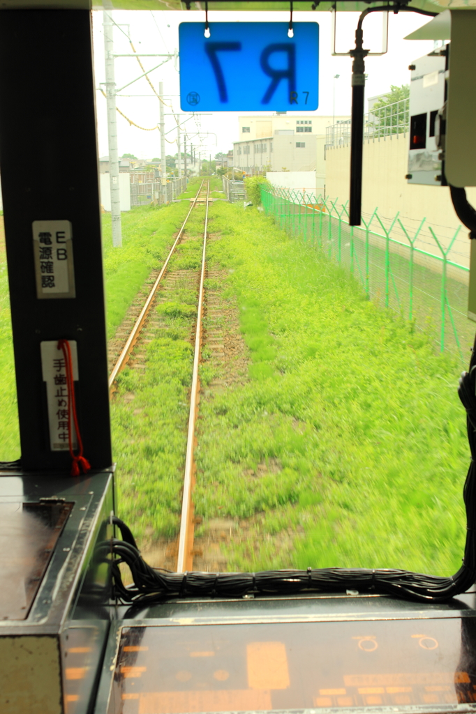 草生す線路