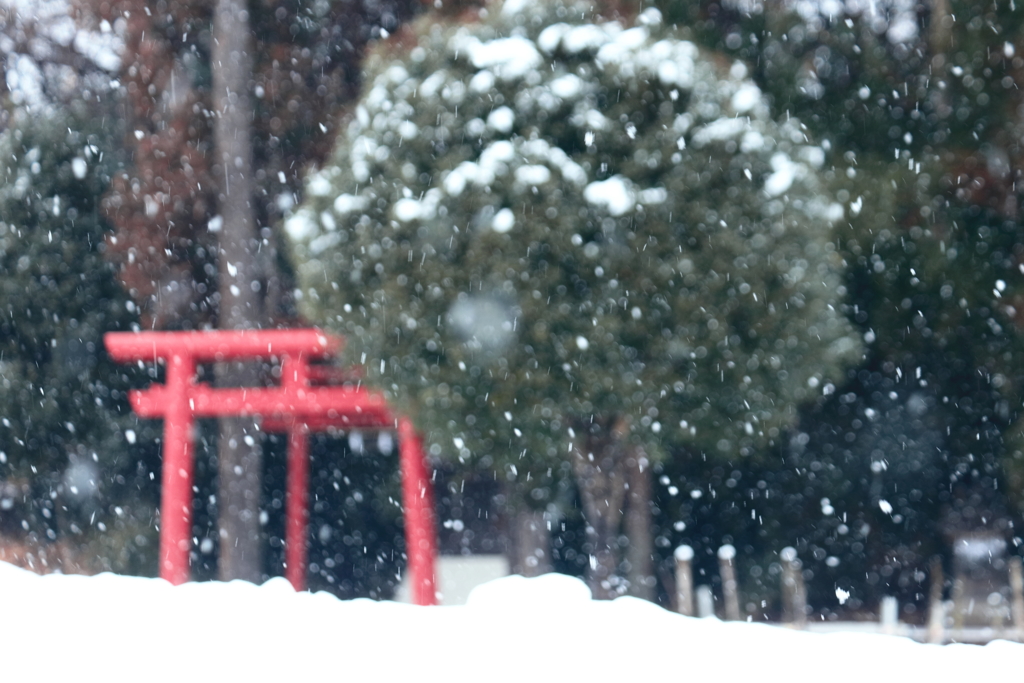 二度目の雪