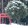 二度目の雪