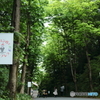 梅雨は近い