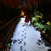 雪の小路 ～Crystal Snow Path～　Ⅲ