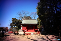 赤い神社