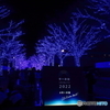 青の洞窟2022 in SHIBUYA #1