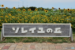 ソレイユの丘
