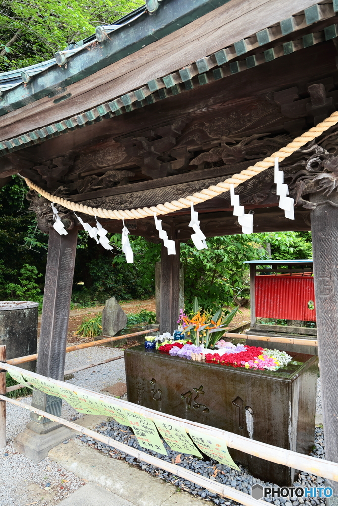 行田　花手水week⑥　前玉神社