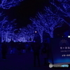 青の洞窟2018 in SHIBUYA #1