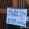 3000