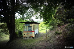 森の中の電車～LOMO LC-A