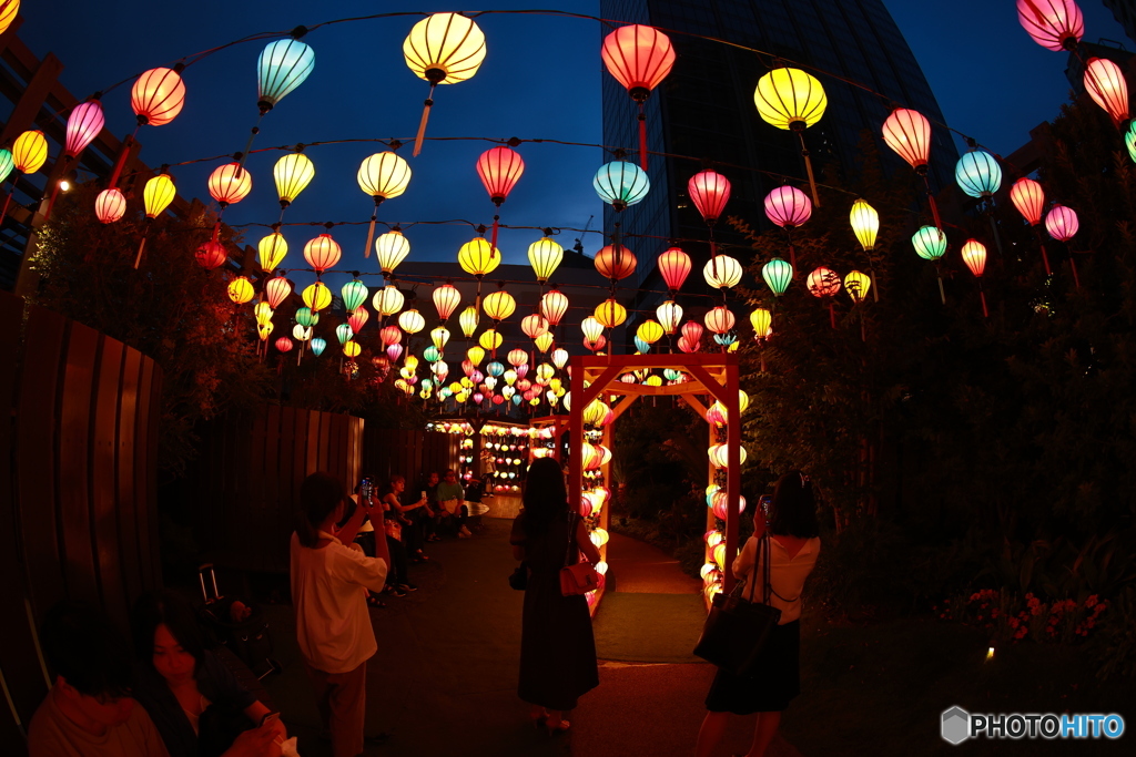 Lantern Night in YOKOHAMA ④
