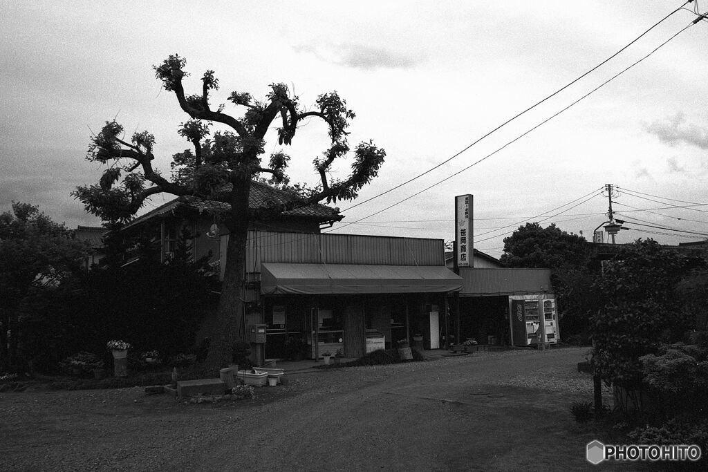 追憶の街角　Rollei RETRO
