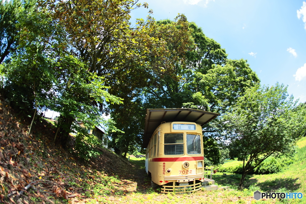 森の中の電車～Old Fisheye