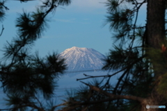 三保の松原から見えた富士山