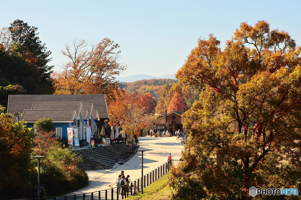 メッツァヴィレッジの秋