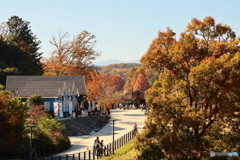 メッツァヴィレッジの秋