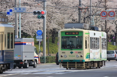 春の飛鳥山