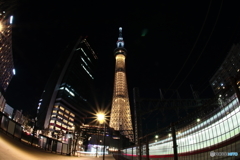 金メダルの夜 (FISHEYE)