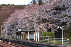 磐越東線舞木駅（昼）