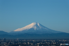 冬化粧