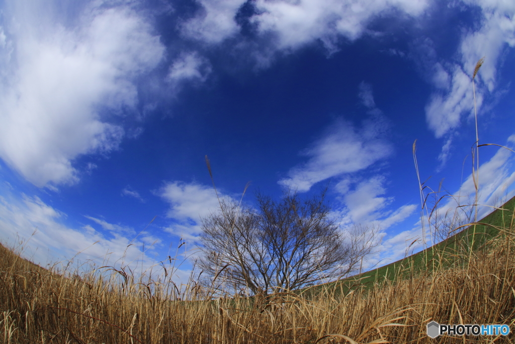 雨上がりのまぁるい空