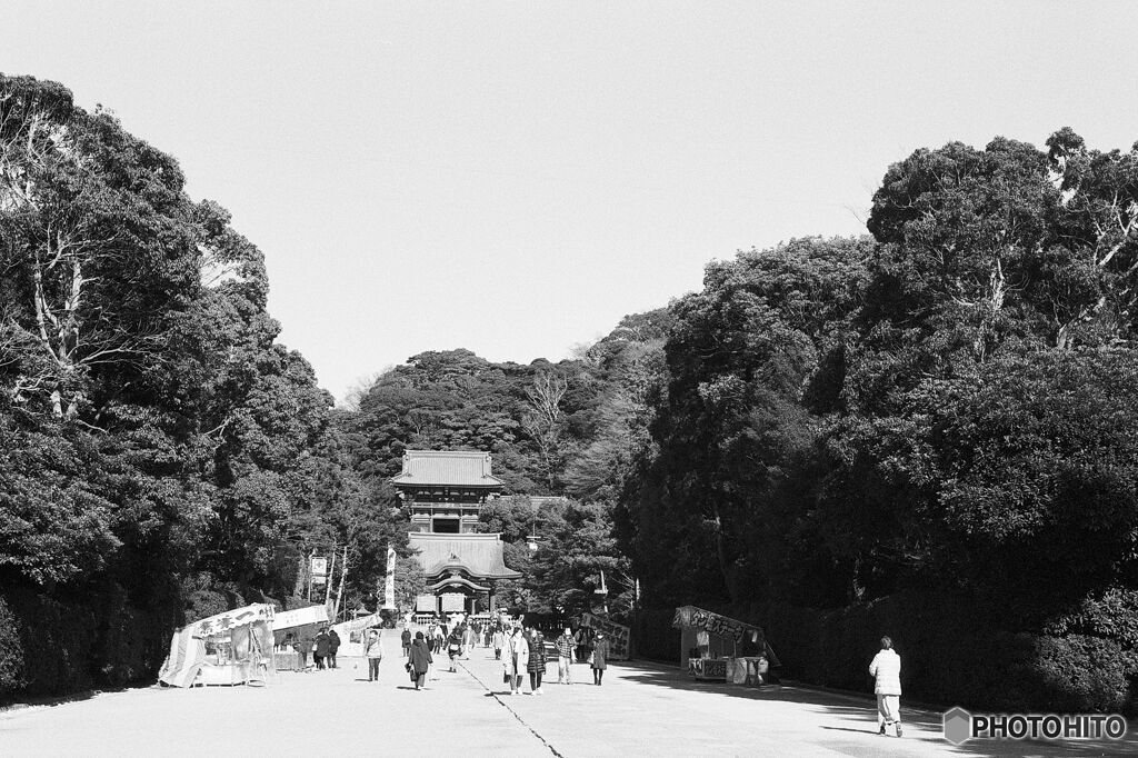 鶴岡八幡宮～舞殿と本宮