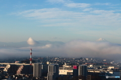 放射霧の朝