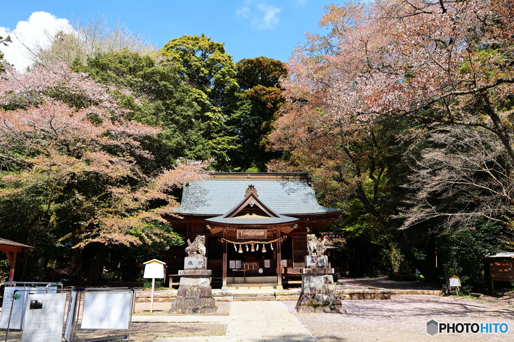 桜川磯部稲村神社