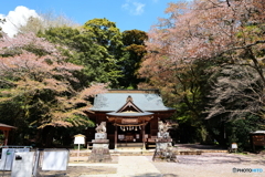 桜川磯部稲村神社