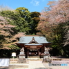 桜川磯部稲村神社