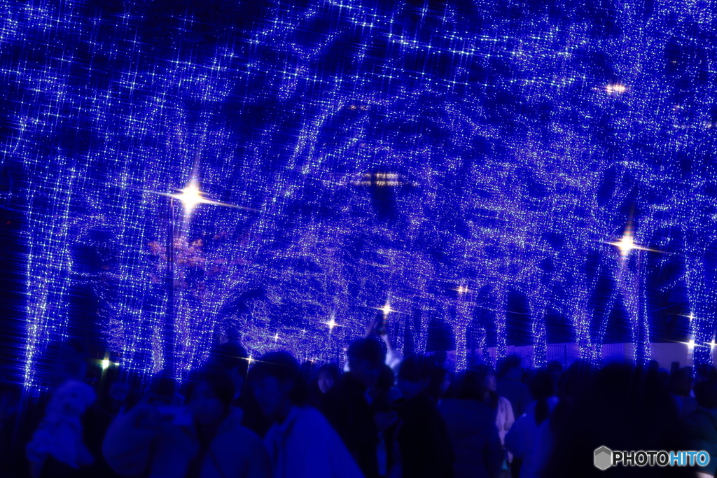 青の洞窟2023 in SHIBUYA #5