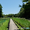 水生植物園