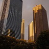 夕刻の西新宿