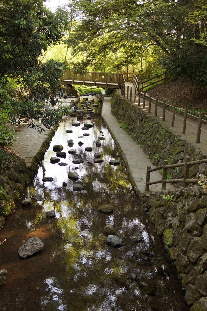 柿田川湧水