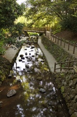 柿田川湧水
