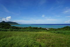 石垣島にて
