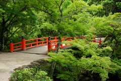 厳島にて