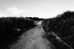道