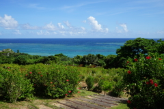 石垣島にて