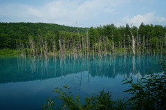 青い池
