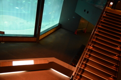 水族館にて