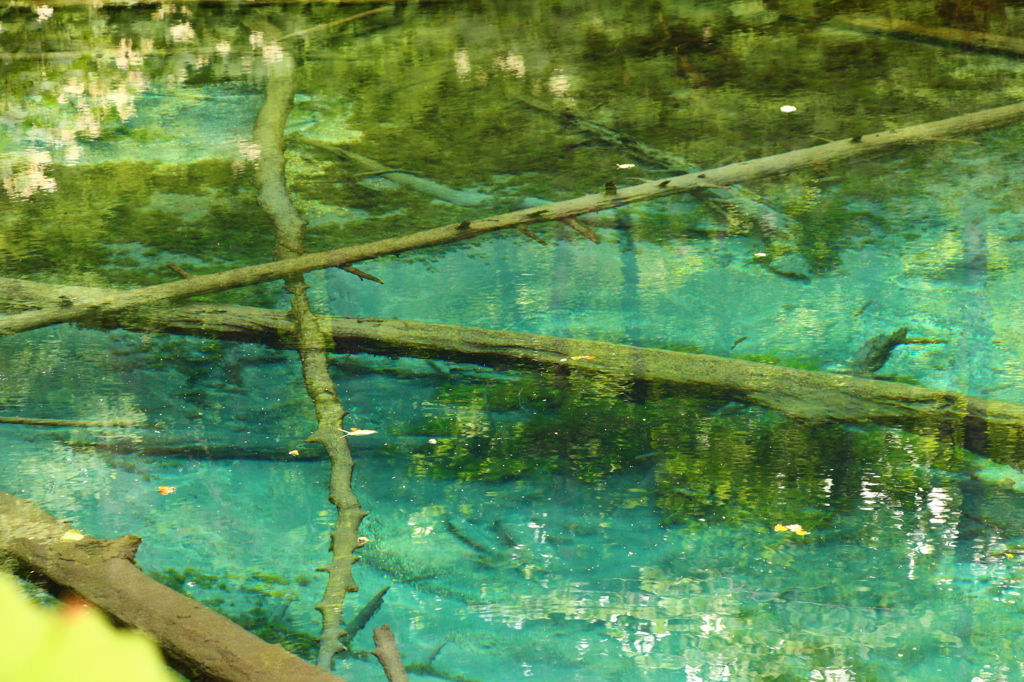 池
