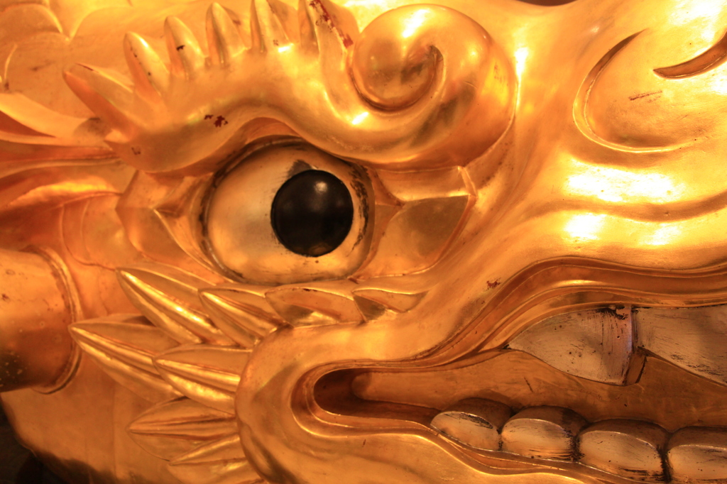 鯱
