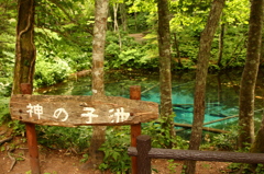 池