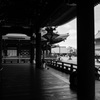 SNAP-KYOTO6
