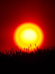 おとぎ話の夕焼け