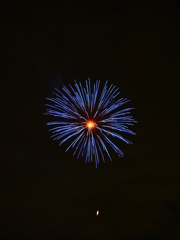 夜空の花