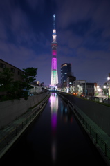 明花スペシャルライトアップ