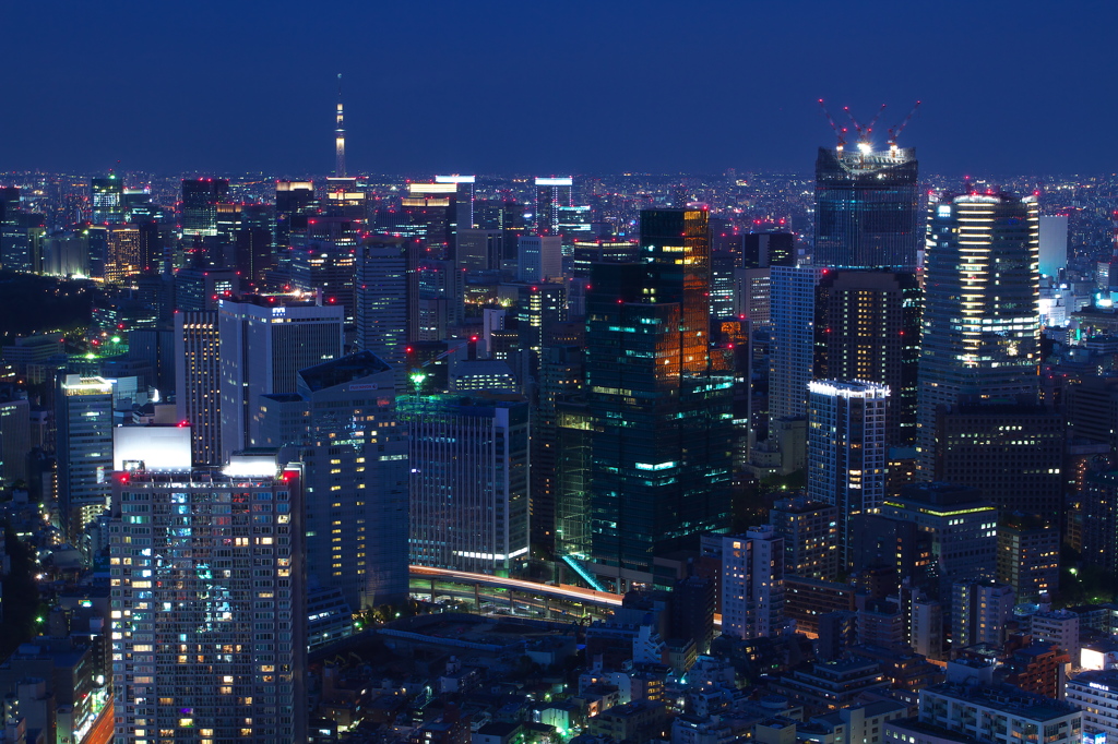 輝く夜色