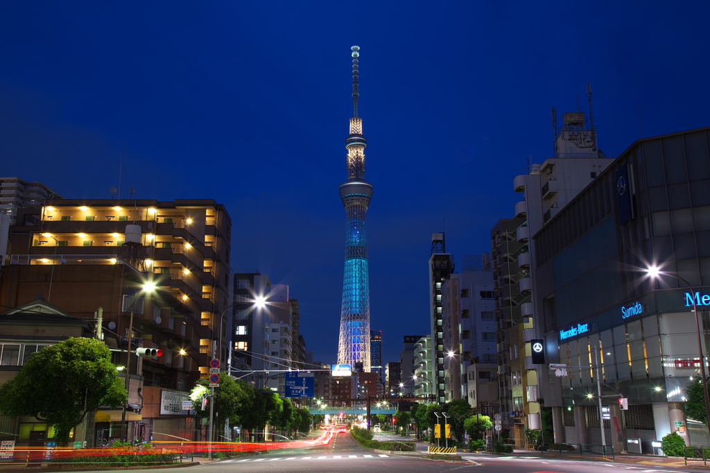七夕特別ライティング