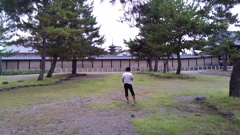 IMAG0174