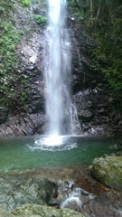 IMAG0285